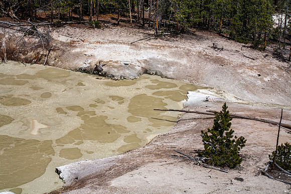 Sulphur Caldron - Yellowstone NP - 2006