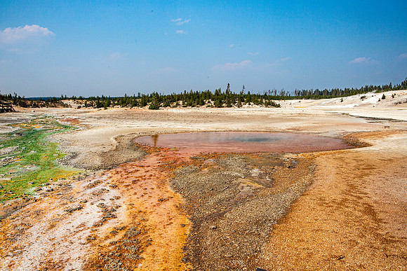 Whirligig Geyser - Norris Geyser Basin - 2012