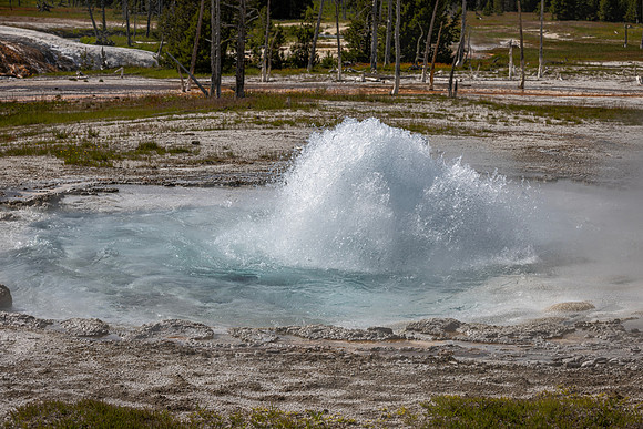 Spouter Geyser rocking and rolling - Black Sand Basin - 2023