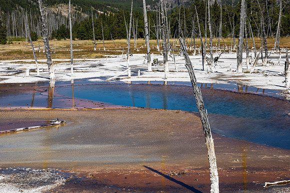 Opalescent Pool - Black Sand Basin - 2022