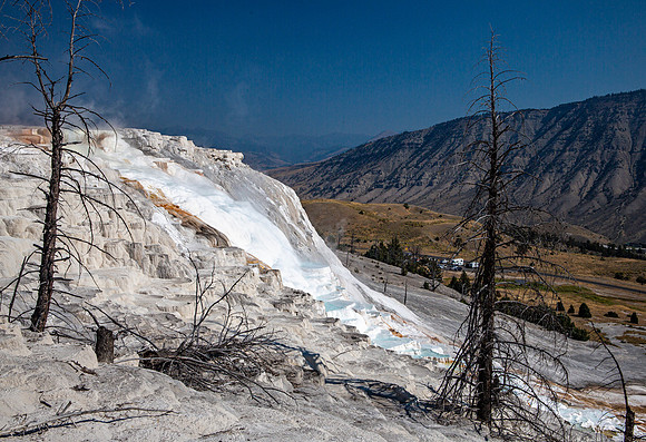 Canary Spring MHS - Yellowstone - 2012