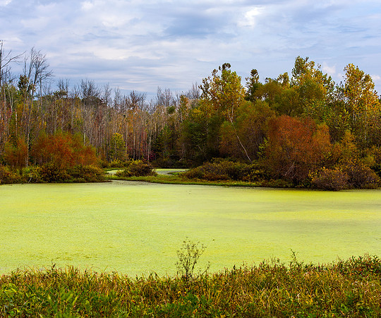 Fall colors at Muscatatuck NWR
