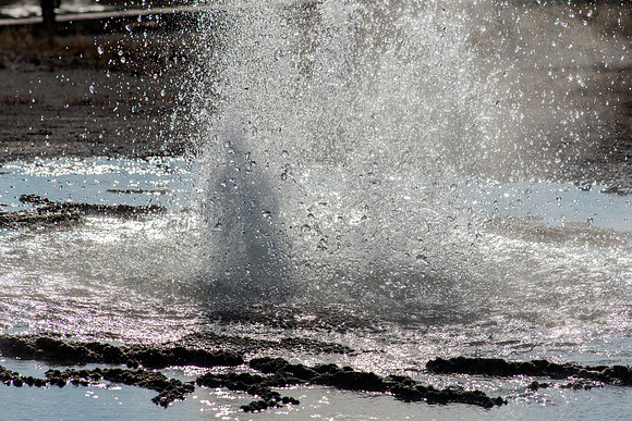 Tardy Geyser