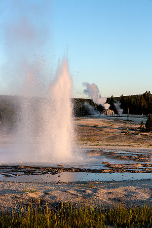 Sawmill Geyser with Castle Geyser in background