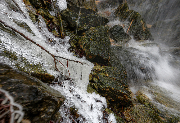 Ice on branches - Ohio 2013