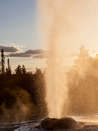 Pink Cone Geyser